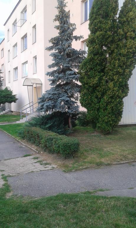 Ortenova 74 Kutna Hora