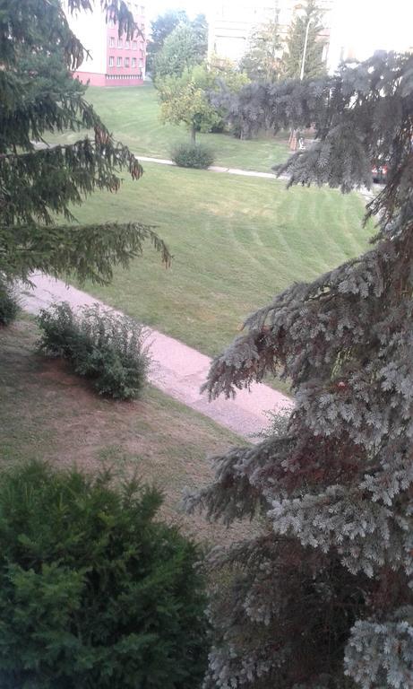 Apartament Ortenova 74