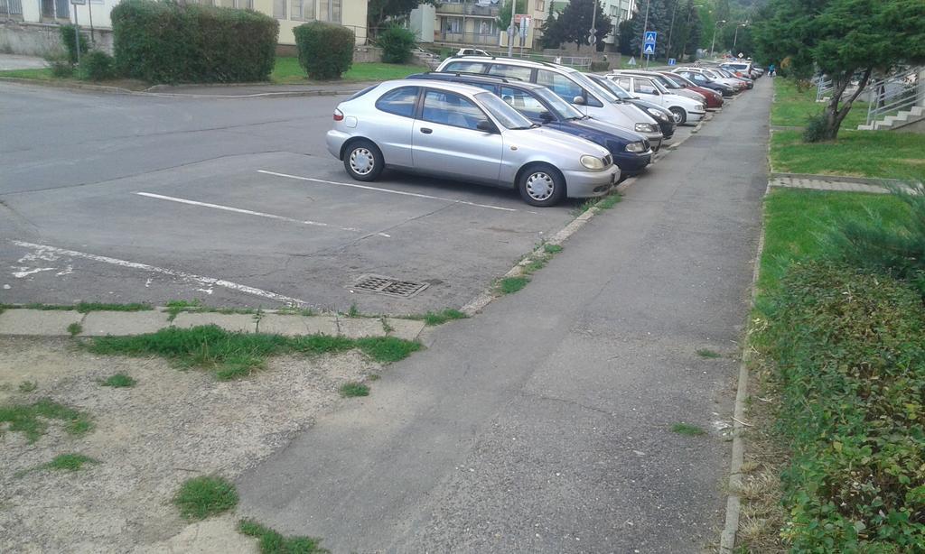 Apartment Ortenova 74